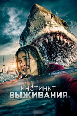 В бездну
